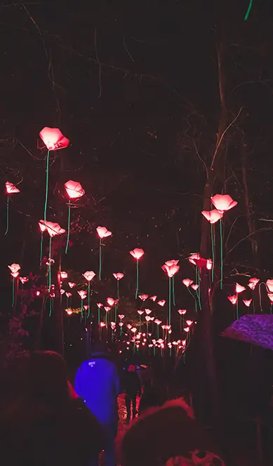 Immersive experiences
.